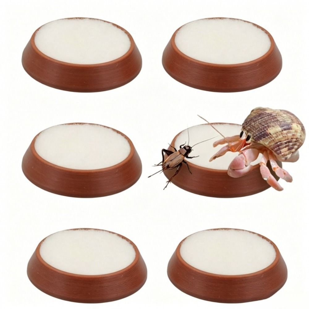 6 Stück tragbare, wiederverwen – Water Dish Reptile Bewertung und Preis