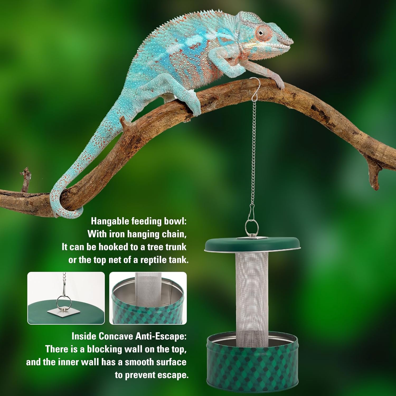 Feeder mit bärtigem Drachen, C – Water Dish Reptile Bewertung und Preis