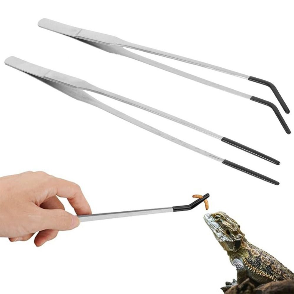 2 Stück Edelstahl-Aquarium-Füt – Feeding Tong Stainless Bewertung und Preis